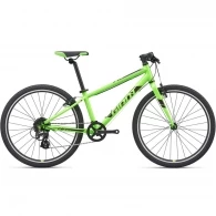 Bicicleta pentru copii Giant ARX 